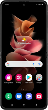 Samsung Galaxy Z Flip 3 (2021)