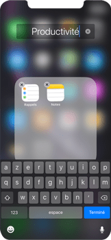Personnaliser l'écran d'accueil, Apple iPhone XR