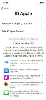 Como configurar pela primeira vez - Apple iOS 12 Apple iOS 12 - Passo 16