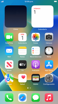 Configuraciones  Personalizar pantalla (iOS/WP)