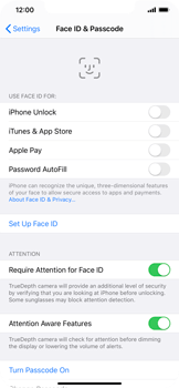 Guide for the Apple iPhone 11 Pro Max - Use Face ID