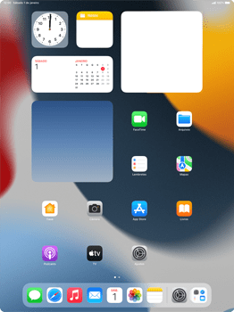 Como excluir uma página inicial - Apple iPad Pro 12,9 - Passo 1
