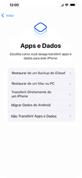 Como configurar pela primeira vez - Apple iOS 16 Apple iOS 16 - Passo 15