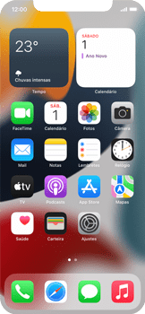 Como excluir uma página inicial - Apple iOS 15 Apple iOS 15 - Passo 1