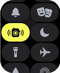 Entenda os ícones da Central de Controle - Apple Watch SE - Passo 6