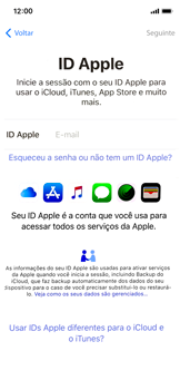 Como configurar pela primeira vez - Apple iOS 12 Apple iOS 12 - Passo 15