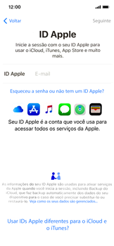 Como configurar pela primeira vez - Apple iOS 13 Apple iOS 13 - Passo 16