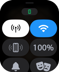 Entenda os ícones da Central de Controle - Apple Watch SE - Passo 2