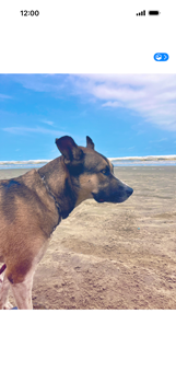 Apple iOS 26 Apple iOS 26