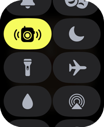 Entenda os ícones da Central de Controle - Apple Watch SE - Passo 9