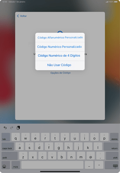 Como configurar pela primeira vez - Apple iPad Air - Passo 12
