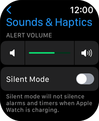 iphone is not vibrating on silent mode New Guide] How to Fix iPhone Not Vibrating on Silent iOS 17/16 main image 1