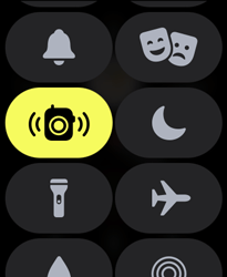 Entenda os ícones da Central de Controle - Apple Watch SE - Passo 10