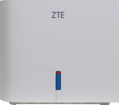 ZTE H196A