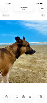 Apple iOS 26 Apple iOS 26