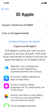 Como configurar pela primeira vez - Apple iOS 13 Apple iOS 13 - Passo 17