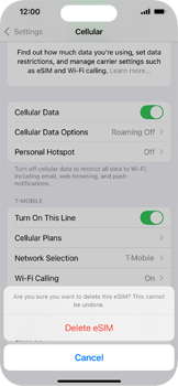 iPhone 16 iOS 18 eSIM removal steps screenshot