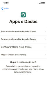 Como configurar pela primeira vez - Apple iOS 12 Apple iOS 12 - Passo 14