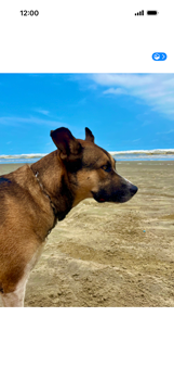 Apple iOS 26 Apple iOS 26