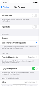 O celular não recebe chamadas - Apple iOS 14 Apple iOS 14 - Passo 6