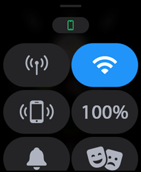 Entenda os ícones da Central de Controle - Apple Watch SE - Passo 1