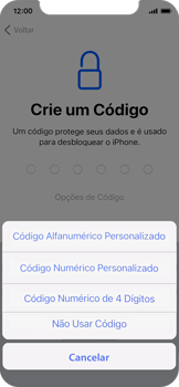 Como configurar pela primeira vez - Apple iOS 14 Apple iOS 14 - Passo 11