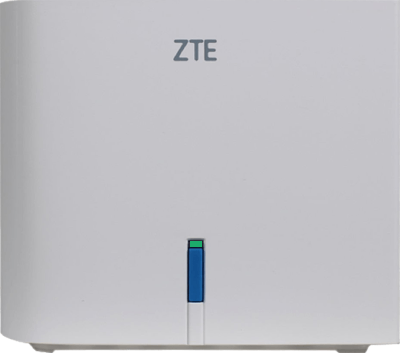 ZTE H196A