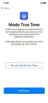 Como configurar pela primeira vez - Apple iOS 12 Apple iOS 12 - Passo 28