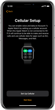 Add data to apple watch online