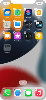 Como excluir uma página inicial - Apple iOS 15 Apple iOS 15 - Passo 3
