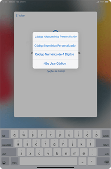 Como configurar pela primeira vez - Apple iPad mini - Passo 12