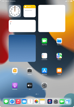Como excluir uma página inicial - Apple iPad Pro 11 - Passo 1