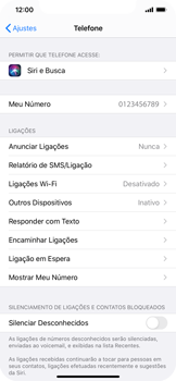 O celular não faz chamadas - Apple iOS 14 Apple iOS 14 - Passo 12