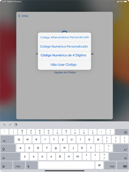 Como configurar pela primeira vez - Apple iPad 10,2 - Passo 11