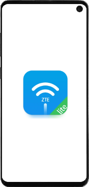 ZTE H196A