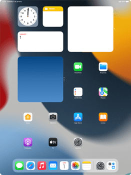 Como excluir uma página inicial - Apple iPad 10,2 - Passo 8