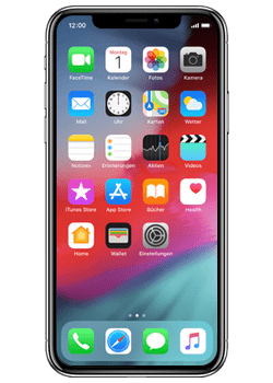 Apple iPhone X