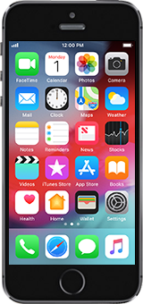 Apple iPhone 5s