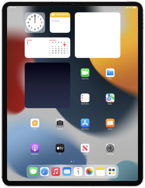 Apple iPad Pro 12.9 (4th gen)