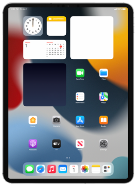 Apple iPad Pro 11 (2nd gen)