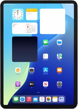 Apple iPad Pro 11 (3rd Gen) (2021)