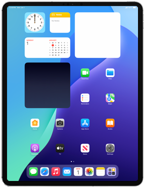 Apple iPad Pro 12.9 (4th gen) (2021)