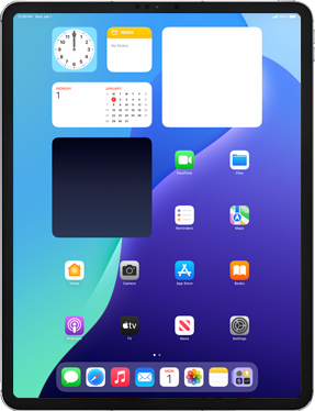 Apple iPad Pro 12.9 (5th gen) (2021)