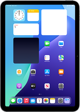 Apple iPad (10th gen) (2021)