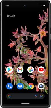 Google Pixel 6