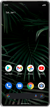 Google Pixel 6 Pro